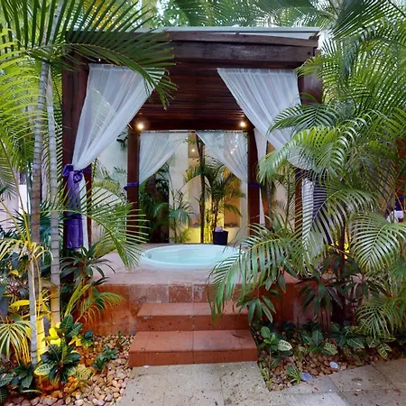 Oasis Palm-2